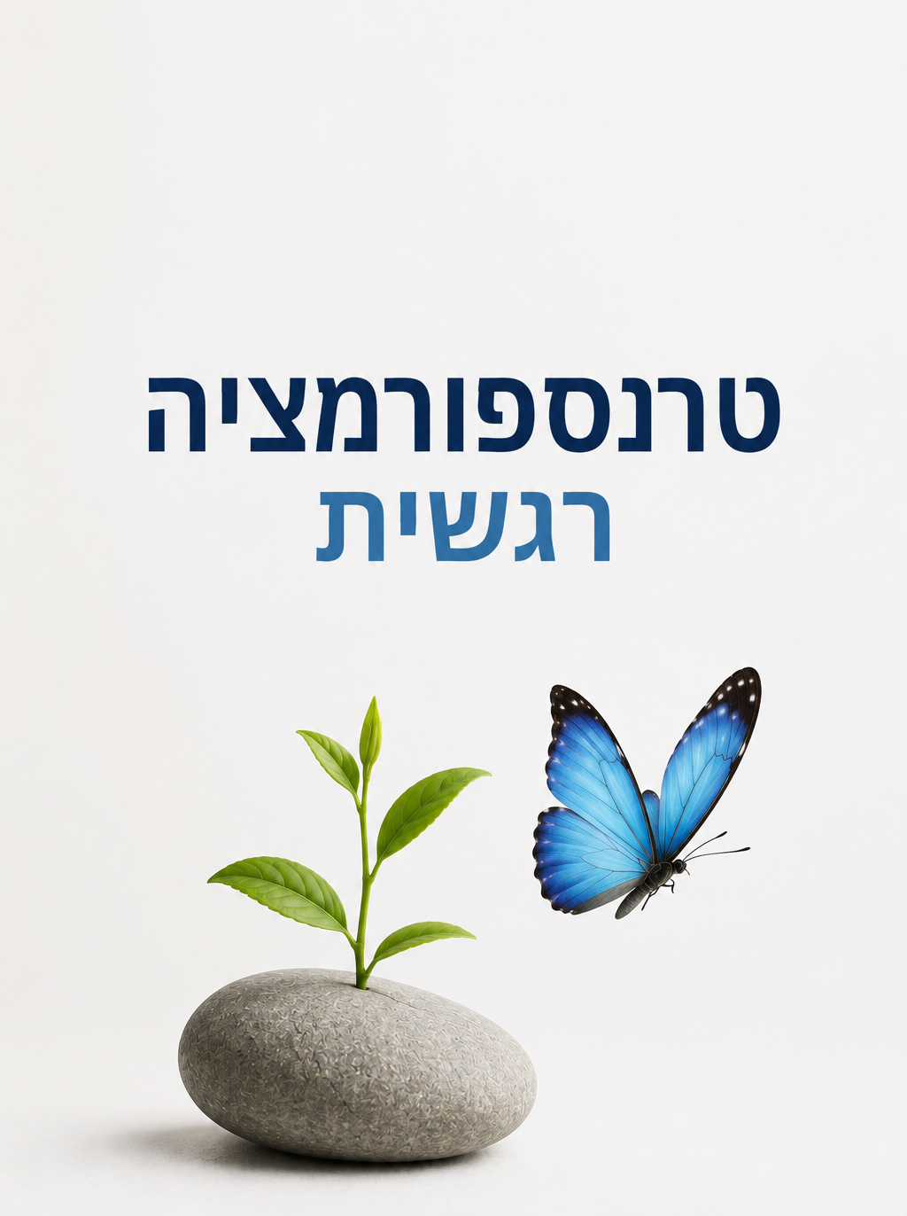 טרנספורמציה רגשית