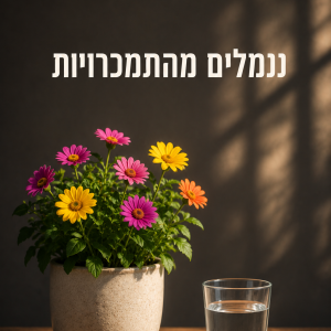 נגמלים מהתמכרויות